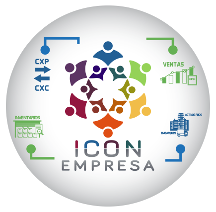 Implantación y consultoría de Icon Empresas y Icon Negocios.